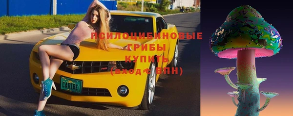 индика Алексеевка