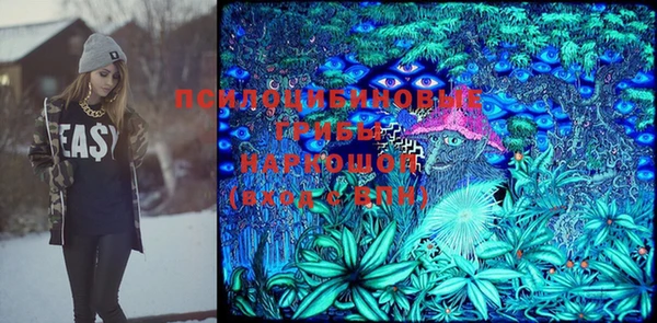 индика Алексеевка