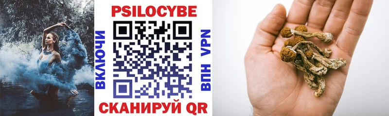 купить   Салават  это состав  Псилоцибиновые грибы Cubensis 