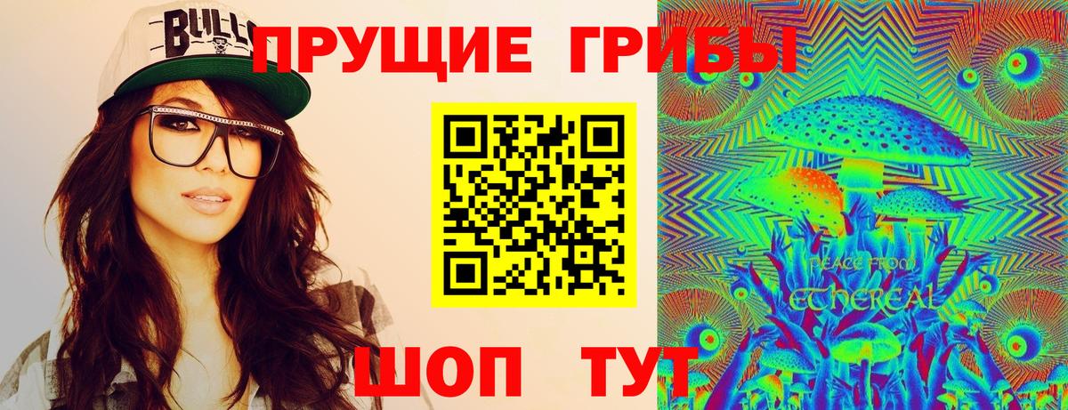 Салават  хочу   Вход с VPN  Псилоцибиновые грибы Cubensis  Галлюциногенные грибы Psilocybine cubensis 
