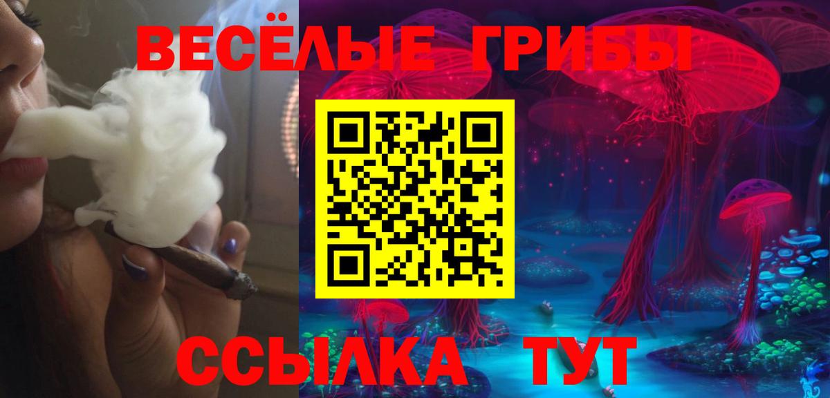 Псилоцибиновые грибы ЛСД Салават